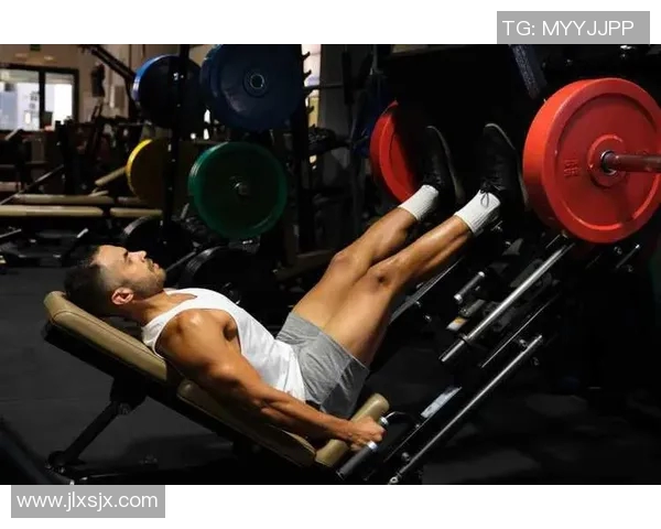 健身房新风潮：打造专属于你的健康生活方式和训练计划